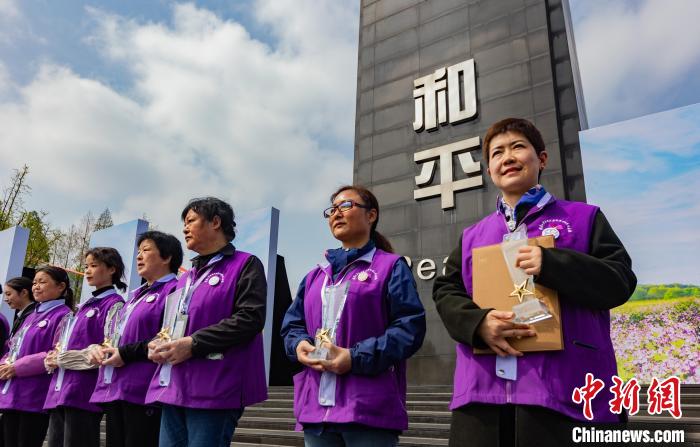 以和平之花紫金草命名的紫金草志愿服务队，成立至今已近三十年。　泱波 摄