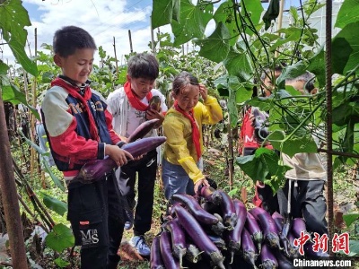 开设蔬菜栽种、动物饲养课 云南一小学实现三餐自给自足-中新网