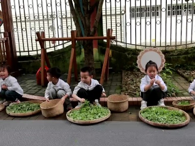 烹饪劳动课引领素质教育新风尚